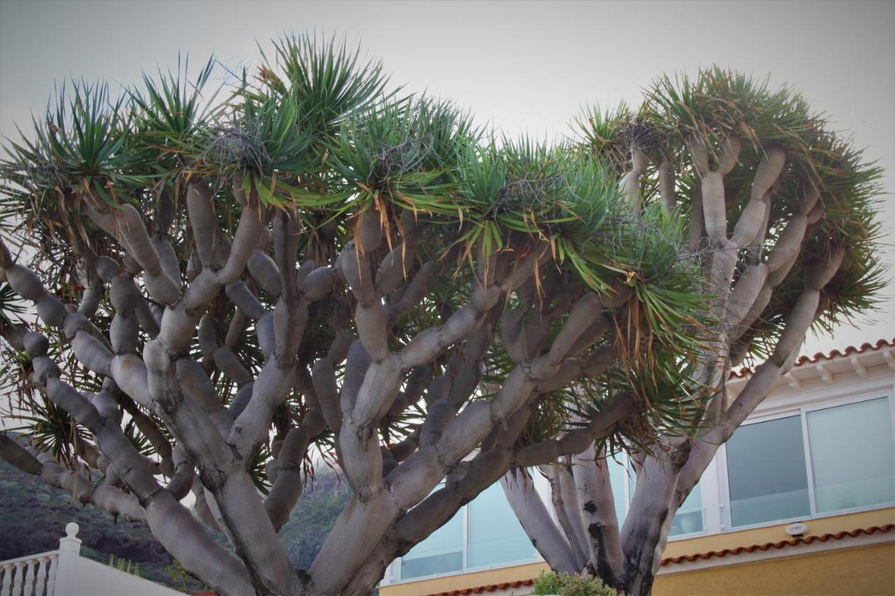 Sissi Boutique - The Terrace Between Ocean And Teide ซานตา เออร์ซูลา ภายนอก รูปภาพ