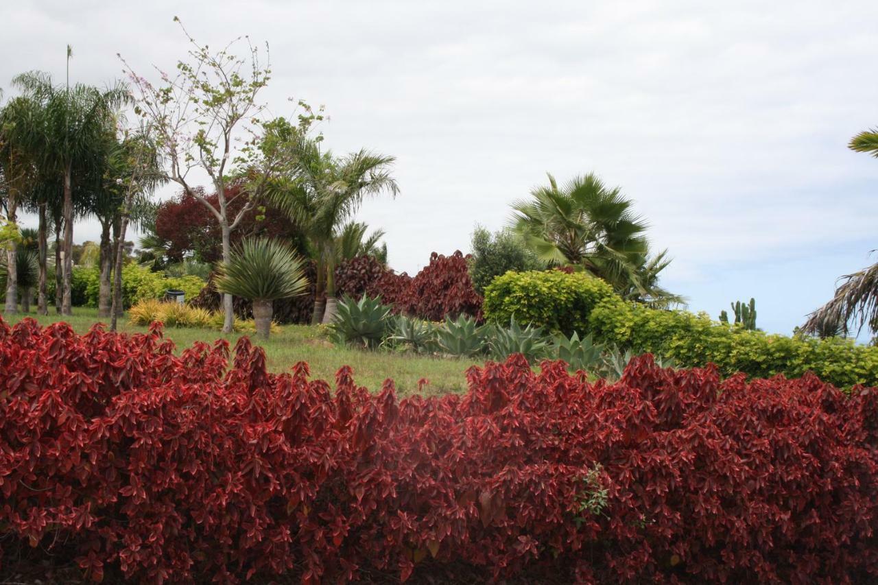 Sissi Boutique - The Terrace Between Ocean And Teide ซานตา เออร์ซูลา ภายนอก รูปภาพ